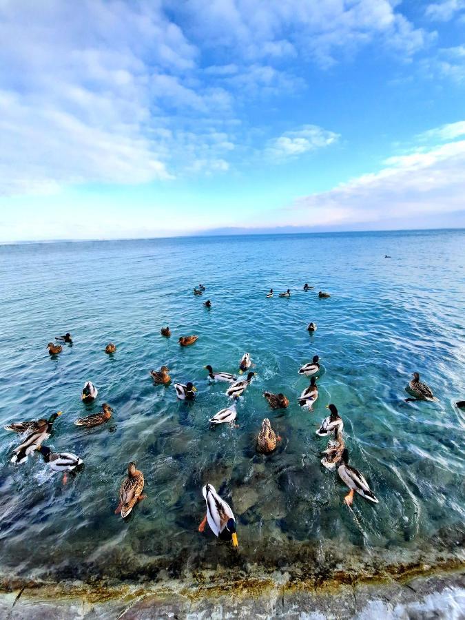 Harmónia Vendégház Balatonalmádi Exterior foto